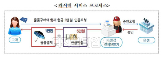 자료: 금융감독원